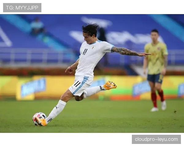 1930年世界杯回顾：乌拉圭首夺冠军开启足球新纪元