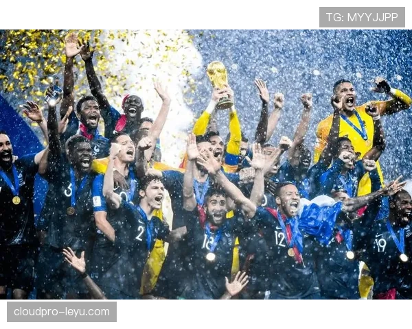 2022世界杯圆满落幕，全球球迷共襄足球盛宴