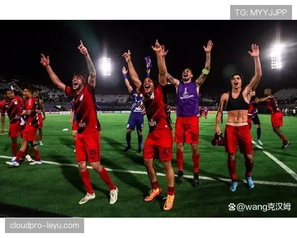 2024年解放者杯最新冠军归属及夺冠历程分析