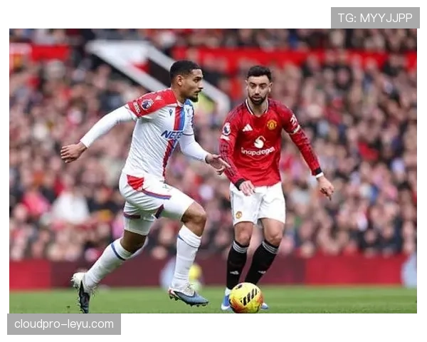 B费传球能力 B费传球能力