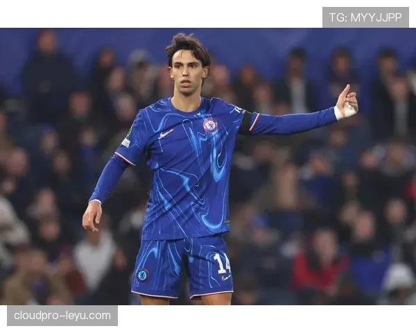 菲利克斯为何难以稳定？天赋与环境冲突解析