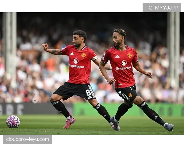 B费技术特点解析 B费技术特点解析