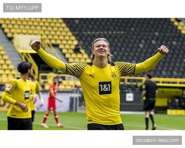 哈兰德与大罗天赋对比：爆发力与球感的代际差异分析