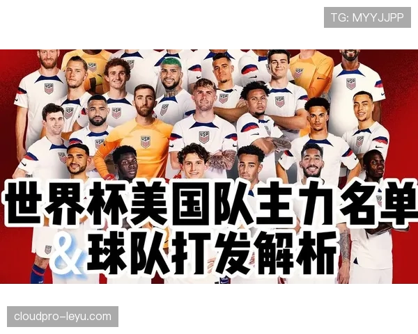 世界杯美国队D组专题全景分析