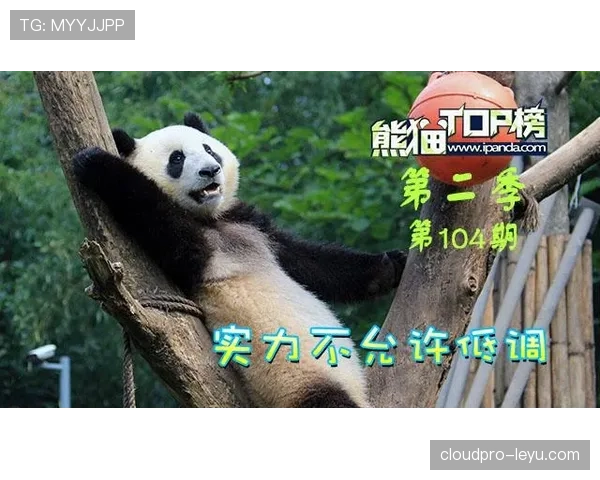 I组实力榜最新公布
