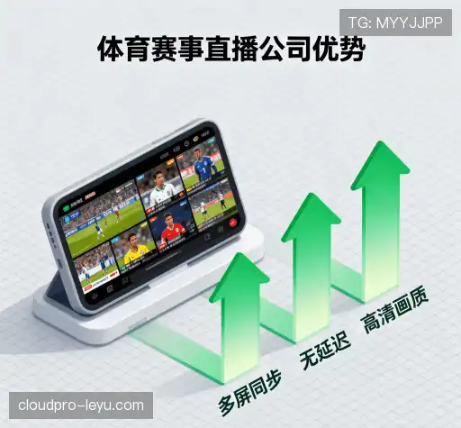 我们的关键优势